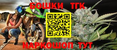 бошки Камышлов