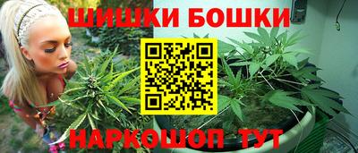 бошки Камышлов