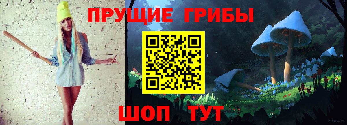 Псилоцибиновые грибы Psilocybe Кызыл